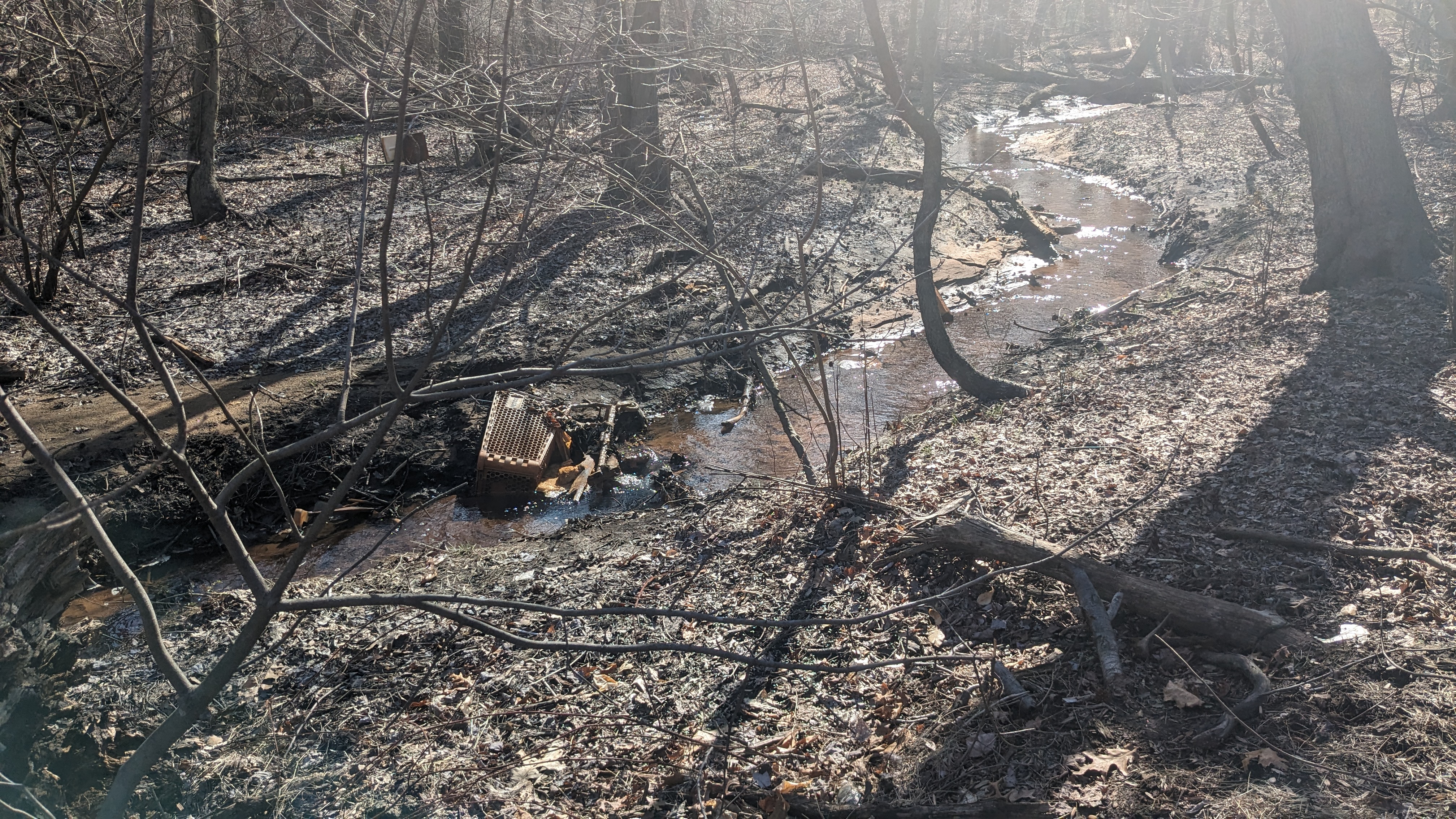 polluted creek